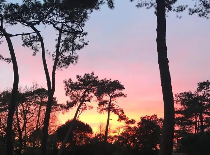 Les Pastourelles Lejlighed *